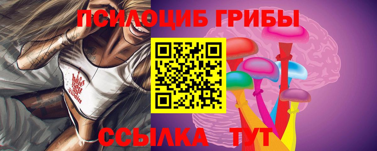 Псилоцибиновые грибы GOLDEN TEACHER Екатеринбург